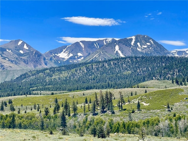 24 Tyrol Ln Unit 103, Mammoth Lakes, CA 95346 - view of mountain background featuring a heavily wooded area