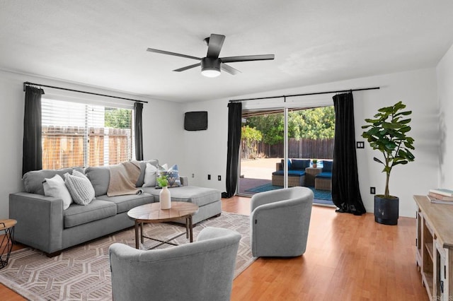 living room featuring ceiling fan and light wood-type flooring