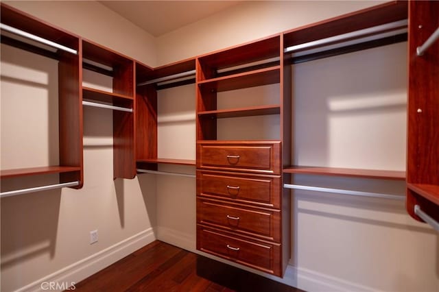 walk in closet with dark wood finished floors