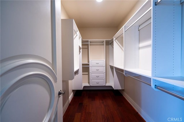 spacious closet featuring dark wood finished floors