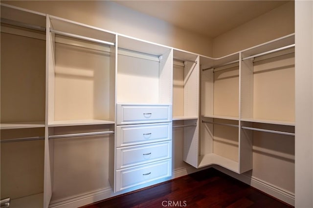 spacious closet with dark wood-style floors