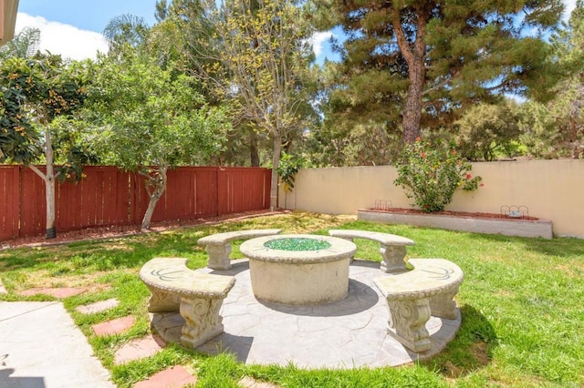 view of yard featuring a patio area and a fenced backyard