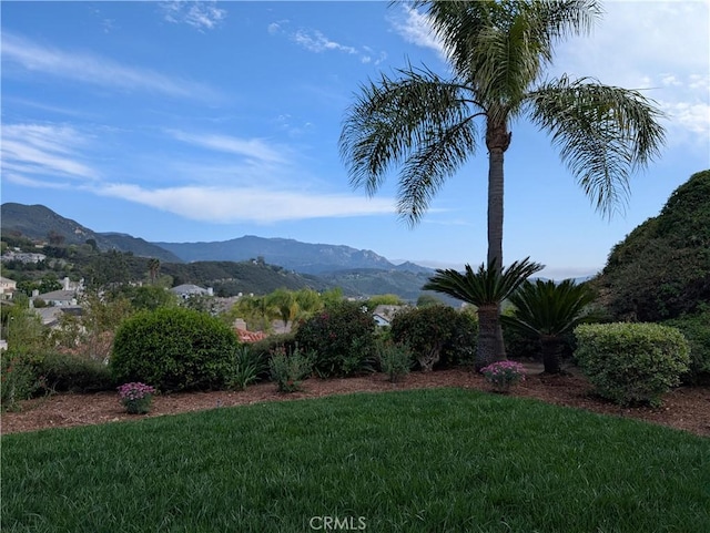 24932 Normans Way, Calabasas, CA 91302 - view of mountain backdrop