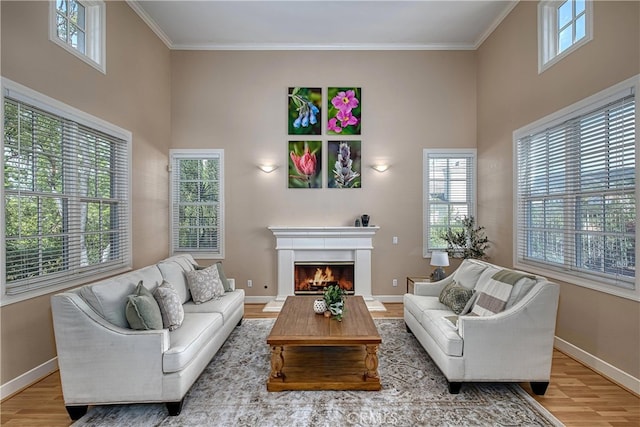 24932 Normans Way, Calabasas, CA 91302 - living room featuring wood finished floors, a towering ceiling, a lit fireplace, and ornamental molding
