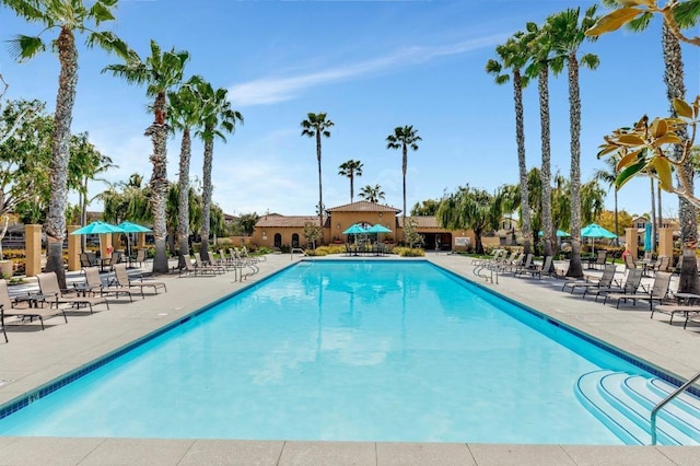 1685 Brezar St, Chula Vista, CA 91913 - community pool with a patio