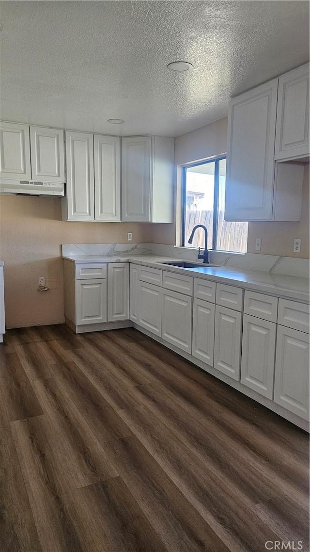 kitchen featuring a sink, a textured ceiling, light countertops, white cabinets, and dark wood-style flooring