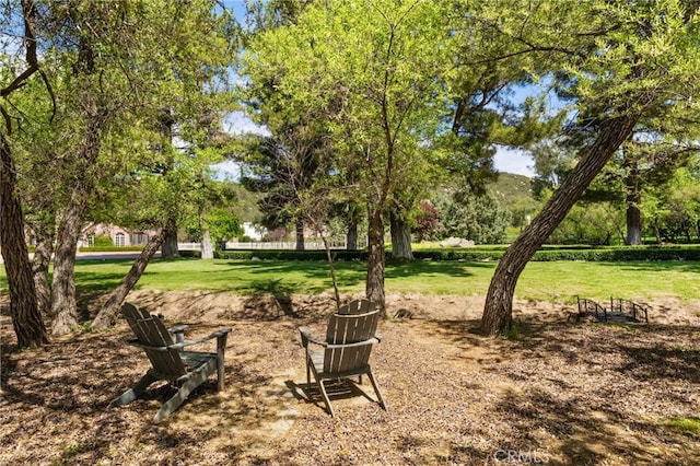 19495 Lobo De Pradera, Murrieta, CA 92562 - photo 60