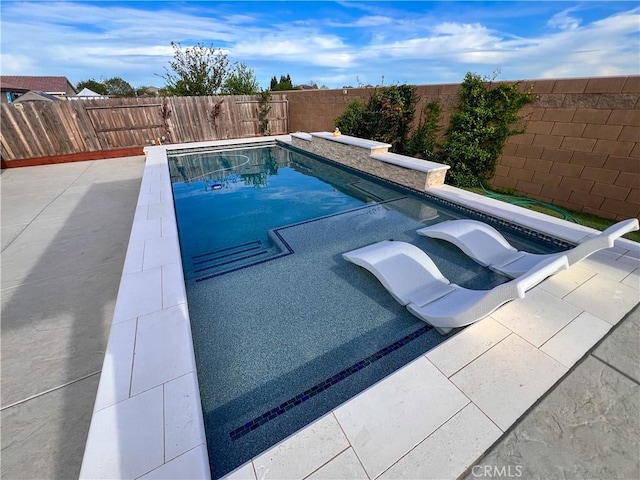 view of pool with a patio area, a fenced backyard, and a fenced in pool