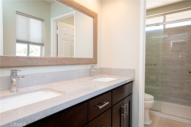 bathroom with a shower stall, double vanity, a sink, and toilet