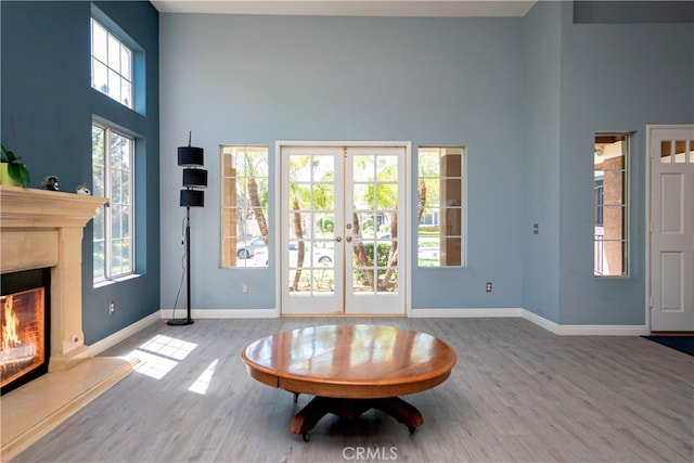 interior space with baseboards, wood finished floors, a towering ceiling, and a fireplace