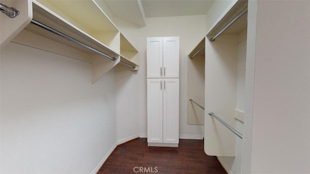 walk in closet with dark wood-type flooring