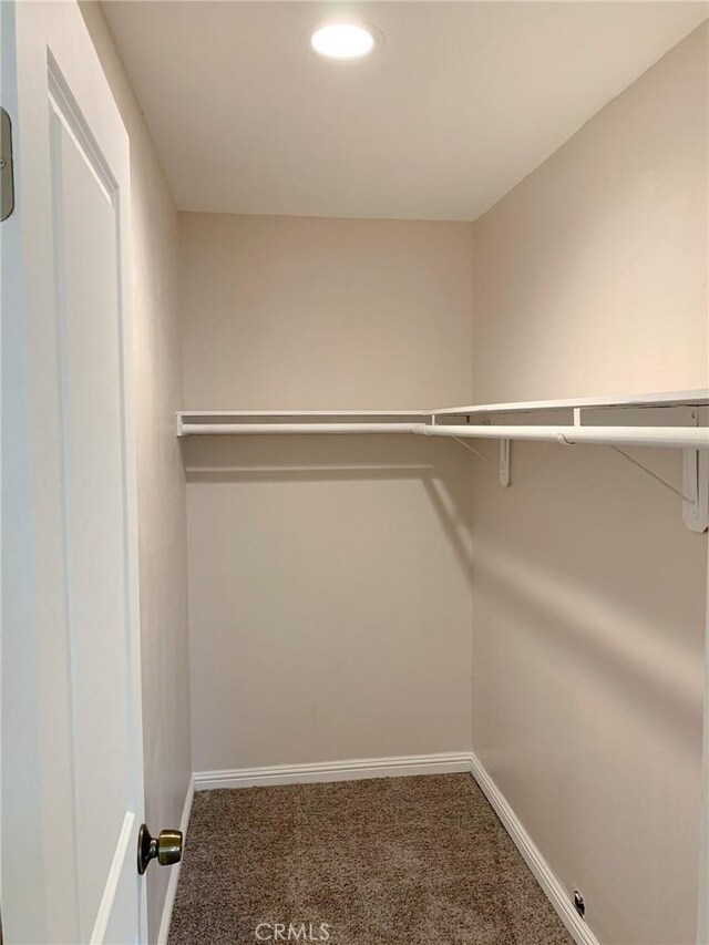 12026 York Ave, Hawthorne, CA 90250 - walk in closet with carpet