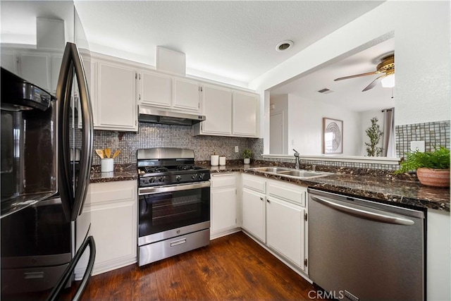 kitchen featuring a sink, stainless steel appliances, ceiling fan, under cabinet range hood, and decorative backsplash