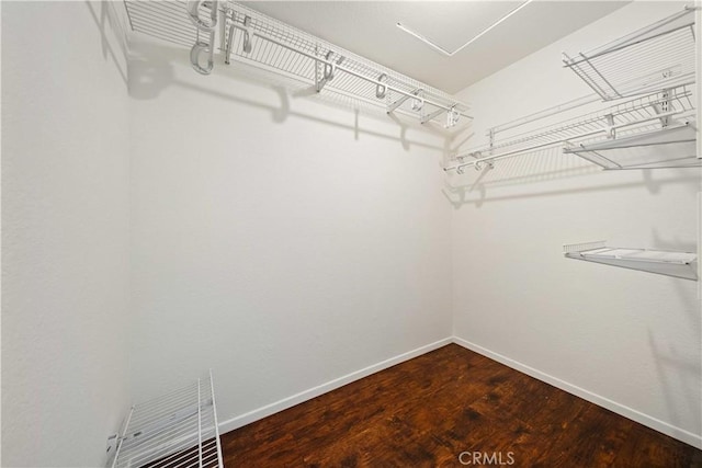 walk in closet featuring visible vents and wood finished floors