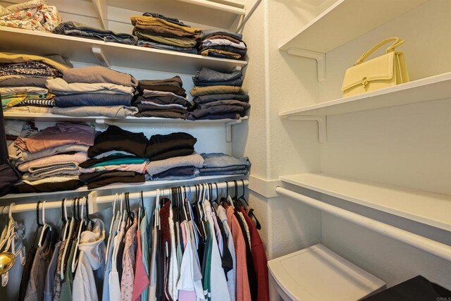 11869 Spruce Run Dr Unit B, San Diego, CA 92131 - view of walk in closet