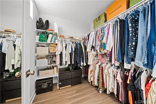 248 Keeper, Irvine, CA 92618 - walk in closet featuring wood finished floors