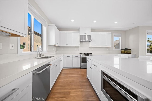 248 Keeper, Irvine, CA 92618 - kitchen featuring white cabinets, recessed lighting, under cabinet range hood, a sink, and stainless steel appliances