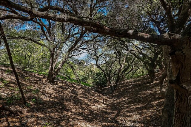 2222 Carbon Canyon Rd, Chino Hills, CA 91709 - photo 5