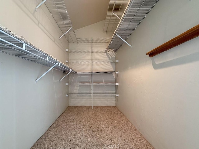 walk in closet with carpet floors