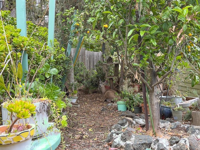 view of local wilderness