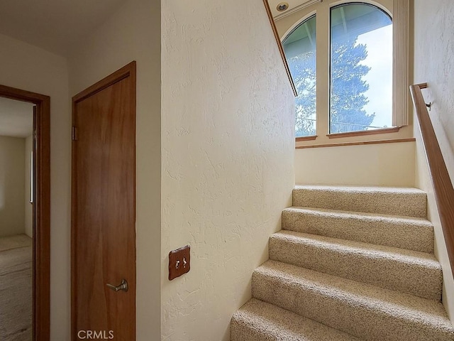 523 Derby Ln, Cambria, CA 93428 - photo 32