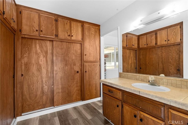 bathroom featuring wood finished floors and vanity