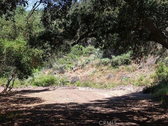 0 Live Oak Canyon Rd, Trabuco Canyon, CA 92679 - photo 8
