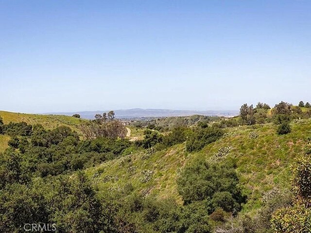 0 Live Oak Canyon Rd, Trabuco Canyon, CA 92679 - photo 3