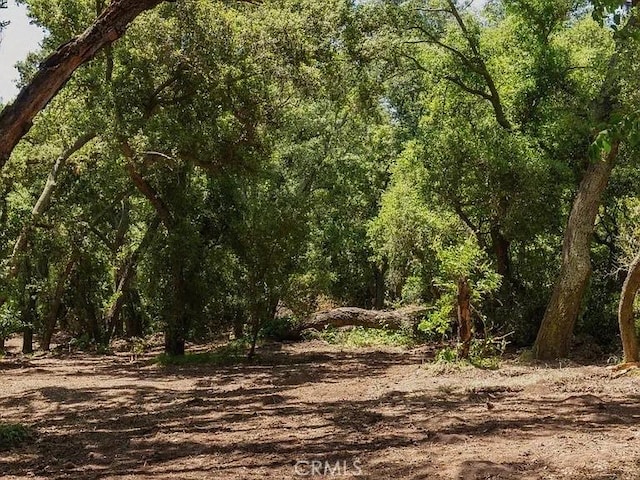 0 Live Oak Canyon Rd, Trabuco Canyon, CA 92679 - photo 9