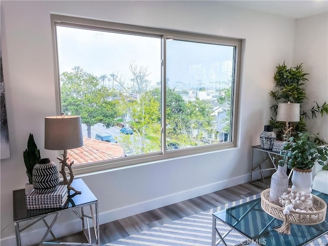 sitting room featuring wood finished floors, plenty of natural light, and baseboards