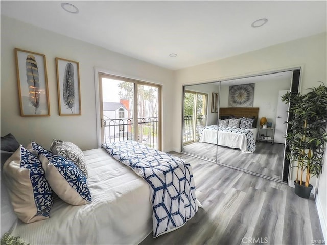 bedroom featuring wood finished floors, access to exterior, and a closet