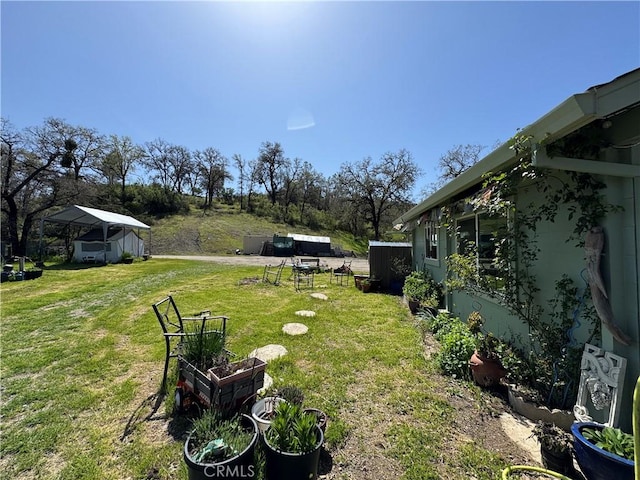 view of yard with a vegetable garden