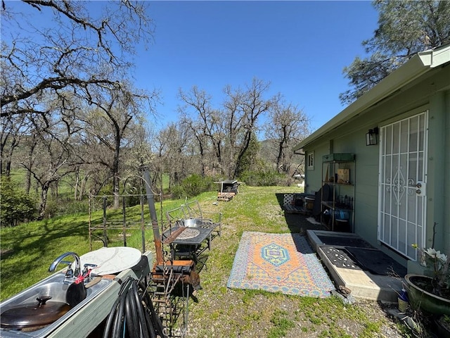 view of yard