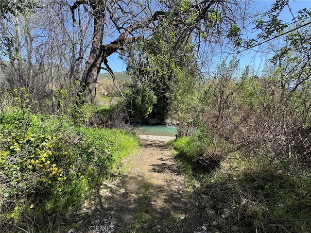 view of nature