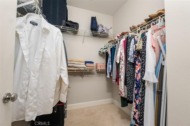 spacious closet with carpet flooring