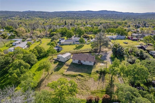 drone / aerial view featuring a view of trees