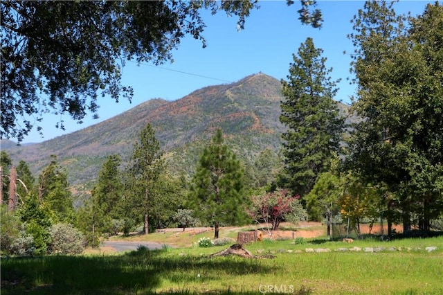 mountain view
