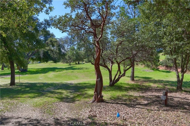 view of property's community with a yard
