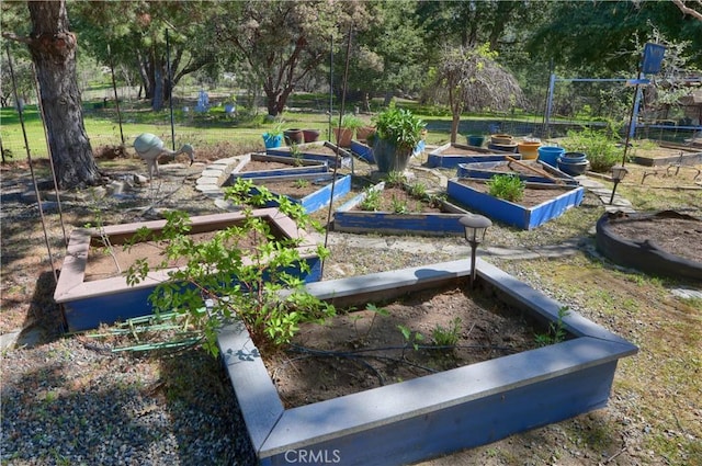view of home's community with a vegetable garden