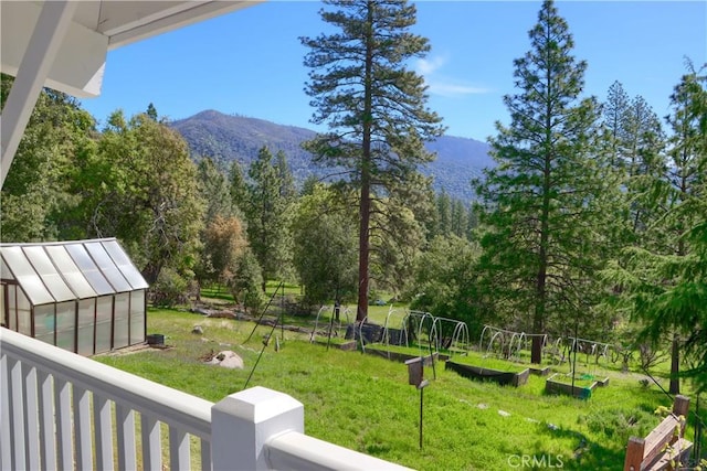 view of yard featuring an exterior structure, a garden, an outdoor structure, and a mountain view