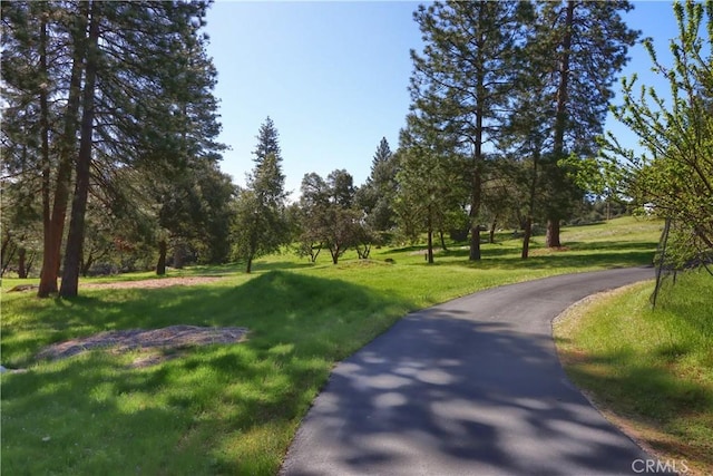 view of property's community with a yard