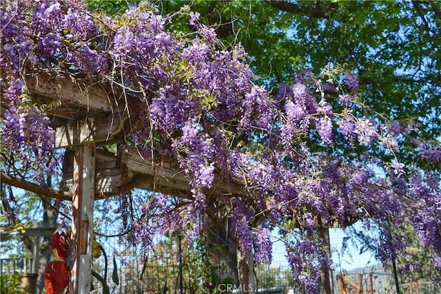view of nature