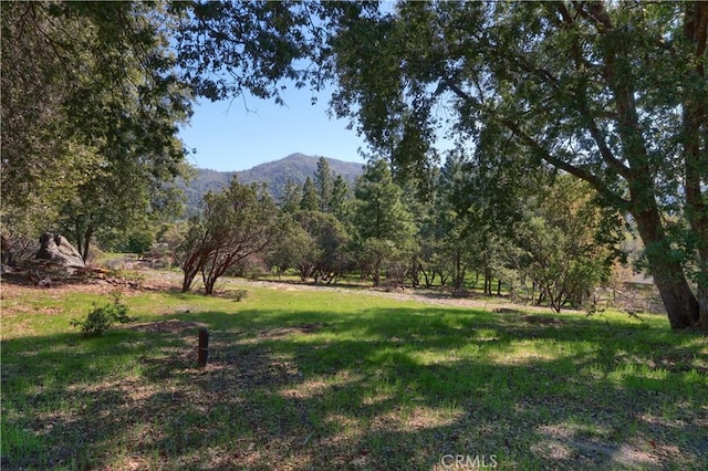 view of yard featuring a mountain view