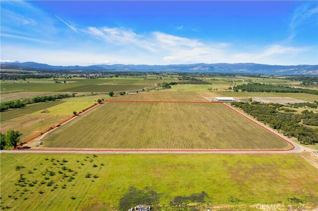 1650 Bell Hill Rd, Kelseyville, CA 95451 - photo 18