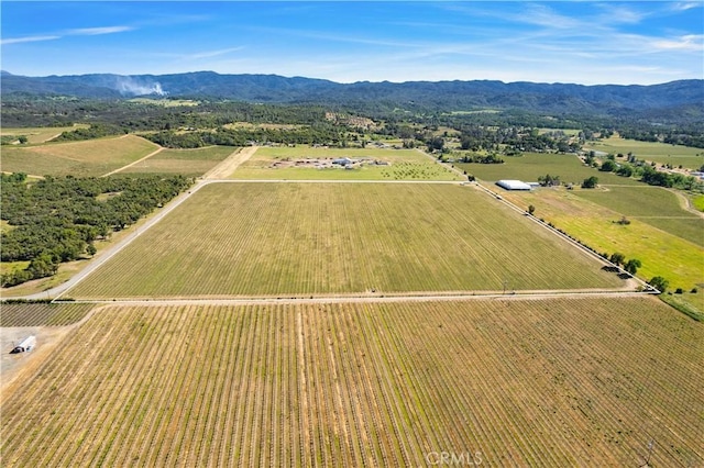 1650 Bell Hill Rd, Kelseyville, CA 95451 - photo 11