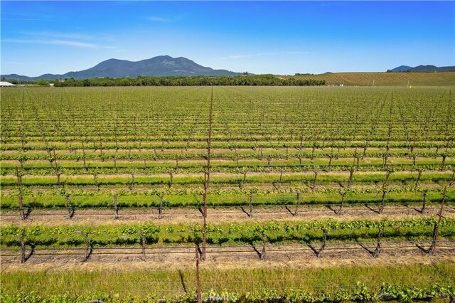 1650 Bell Hill Rd, Kelseyville, CA 95451 - photo 25
