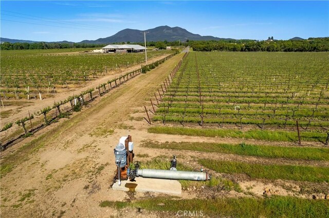 1650 Bell Hill Rd, Kelseyville, CA 95451 - photo 28