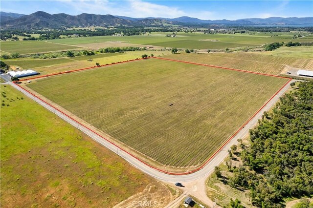 1650 Bell Hill Rd, Kelseyville, CA 95451 - photo 9