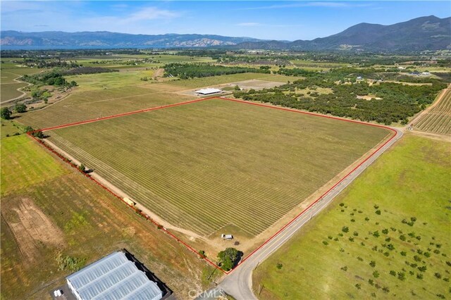 1650 Bell Hill Rd, Kelseyville, CA 95451 - photo 6