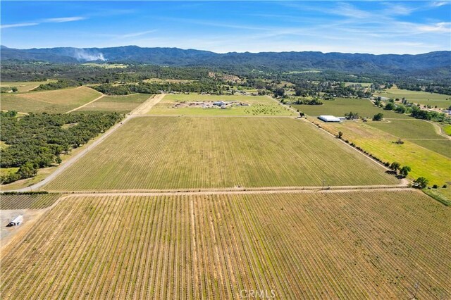1650 Bell Hill Rd, Kelseyville, CA 95451 - photo 13